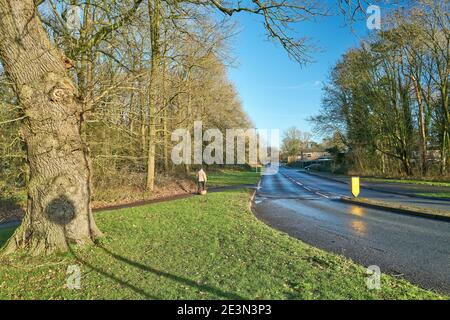 Man and dog on a path by the medieval royal hunting ground of King's Wood at Corby, Nhants, England, during the national lockdown, January 2021. Stock Photo