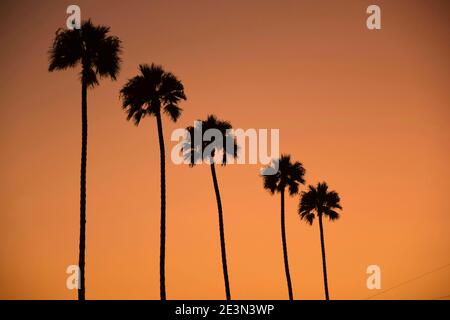 Sunset in  California, from Los Angeles to  lake powell Stock Photo