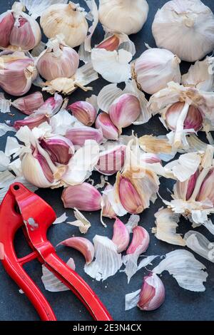Garlic cloves and garlic press on a slate background Stock Photo
