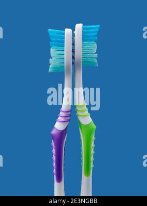 Two toothbrushes arranged like couple standing back to back on minimal blue background Stock Photo