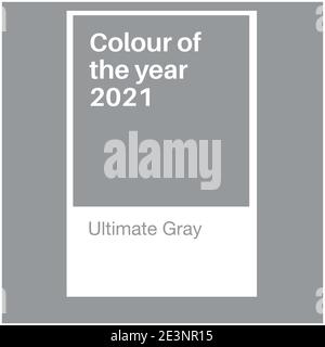 Ultimate Gray and Illuminating Yellow Trending Colors of the Year 2021. Color pattern, vector  illustration Stock Vector