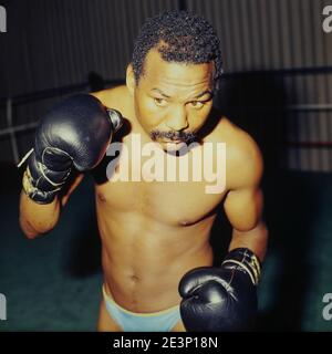 Boxer Jose Napoles training, Lyon, France Stock Photo