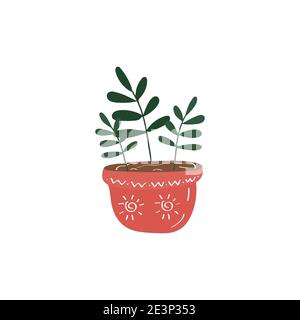 House plant. Flowers in pot. Ficus icon. Hand drawn vector doodle illustration Stock Vector