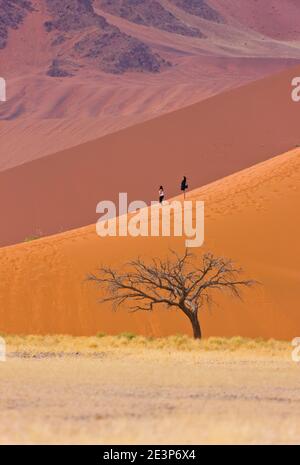 Duna 45 Desierto Namib Namibia Africa Stock Photo