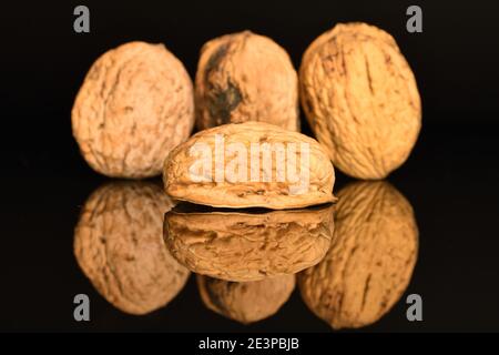 Three whole and one half brown natural ripe tasty walnuts on a black background.. Stock Photo
