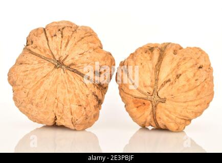 Two fresh whole ripe walnuts on a white background. Stock Photo