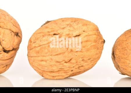 In the foreground, in focus, is a whole dark brown ripe natural walnut, on a white background. Two parts of walnuts are visible on both sides. Stock Photo