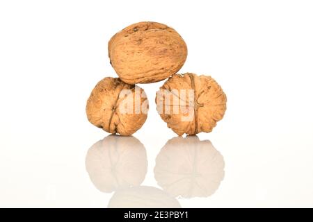 Three whole dark brown ripe natural walnuts, on a white background. On the first two - lies the third walnut. Stock Photo