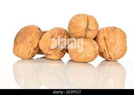 A few whole dark brown ripe natural walnuts, on a white background. Stock Photo