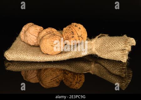 Three whole natural brown ripe tasty walnuts on a black background, with a jute bag. Stock Photo