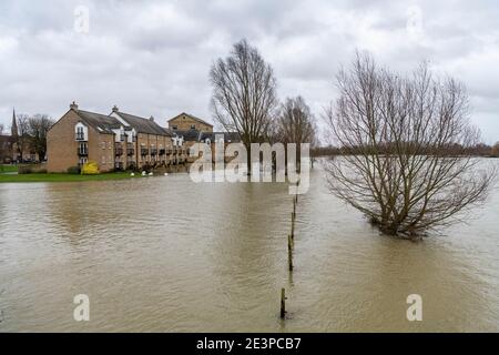 St Ives Cambridgeshire, UK. 20th Jan, 2021. The River Great Ouse has burst its banks and has flooded surrounding land as Storm Christof continues to bring heavy rain across the UK. Flood warnings are in place for the area and further rain is forecast. The river is likely to rise further in the next few days as water from upstream flows down. Credit: Julian Eales/Alamy Live News Stock Photo