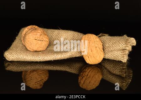 Two whole natural brown ripe tasty walnuts on a black background, with a jute bag. Stock Photo