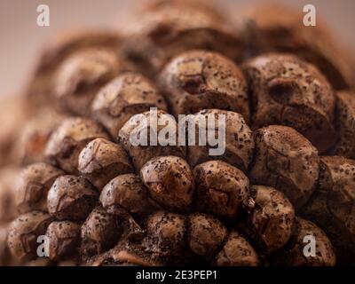 Five coloured pencils on a wooden table Stock Photo