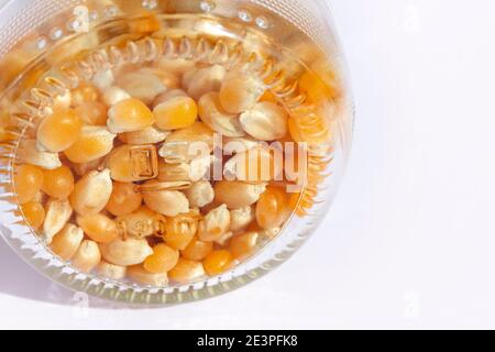 corn kernels in the jar Stock Photo