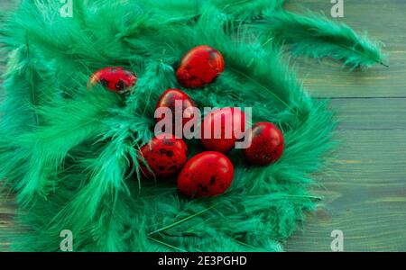 Macro photo of red easter quail egg. Painted red quail eggs on a green wood background. Easter Stock Photo