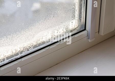 Drops of condensate and black mold on a substandard metal-plastic window Stock Photo