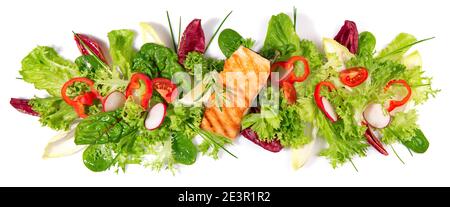 Grilled Salmon Fillet with fresh Salad - Lettuce Panorama isolated on white Background Panorama Stock Photo