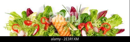 Grilled Salmon Fillet with fresh Salad - Lettuce Panorama isolated on white Background Panorama Stock Photo