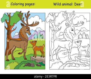 Vector coloring page with cute deers in mountain area. Cartoon isolated colorful illustration. Coloring book page and color template. For coloring boo Stock Vector