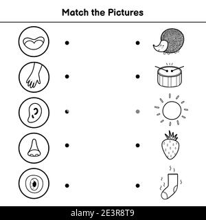 Five senses matching game for kids. Sight, touch, hearing, smell and taste Stock Vector