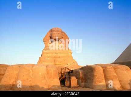 North Africa Egypt Egyptian Giza The Sphinx low level view blue sky space for copy sunrise summer Stock Photo