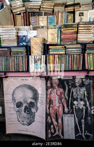 FRANCE / IIe-de-France / Paris / Bouquinistes / Les Bouquinistes, riverside booksellers. Stock Photo