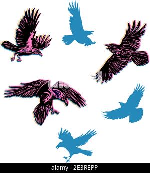 crow, raven, color, flying, vector, silhouette, image Stock Vector