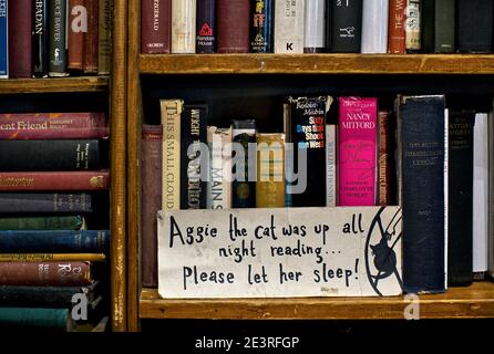 FRANCE / IIe-de-France / Paris / Independent bookstore Shakespeare and Company in Paris . Stock Photo