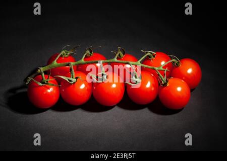 cherry tomato branch on black background Stock Photo