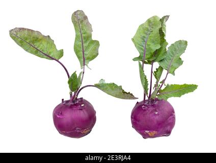 purple kohlrabi path isolated on white Stock Photo