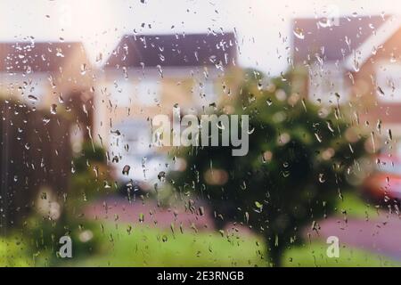 Raindrops on window glass in rainy day with blurry tree and house background, View looking trough window with water drops texture taken after the rain Stock Photo