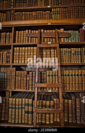 Vintage library with old shelves of old books and a wooden ladder. Stock Photo