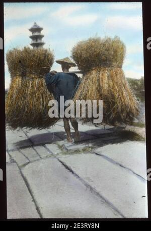 Man carrying two large bundles of straw, China, ca.1917-1923 (IMP-YDS-RG224-OV1-0000-0041). Stock Photo