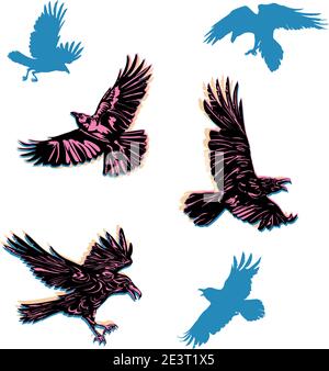 crow, raven, color, flying, vector, silhouette, image Stock Vector