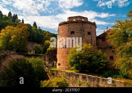 The exploded tower, or powder tower, of Schloss Heidelberg, Baden-Württemberg, Germany. September. Stock Photo