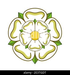 White Rose of York symbolises the county of Yorkshire Stock Photo