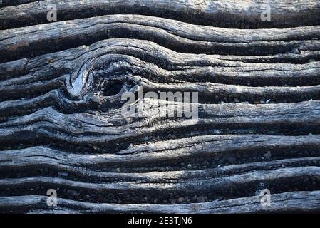 Weathered tree bark with knot, grain patterns and grooves Stock Photo