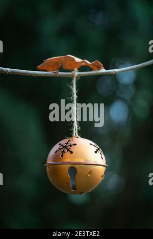 Oudoors Christmas decorations, close up of a golden coloured Christmas bauble hanging on a tree in a park / woodland in Southampton, England, UK Stock Photo