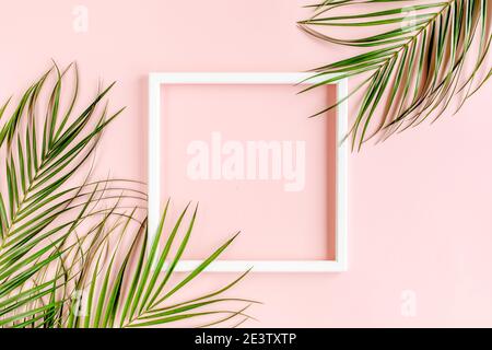 White frame and tropical palm leaves Phoenix on pink background. Flat lay, top view Stock Photo