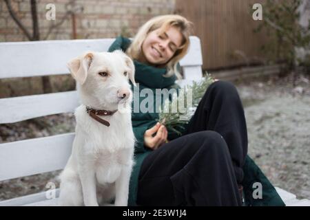 young beautiful white dog walks with its owner. cute smiling teenage girl out of focus. cold season. sit on a wooden bench outdoors. Active lifestyle, Stock Photo
