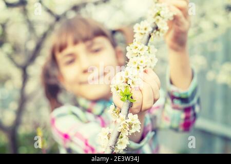 A child in the garden of flowering trees. Selective focus. Stock Photo