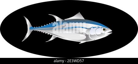 tuna fish color vector illustration isolated on black Stock Vector