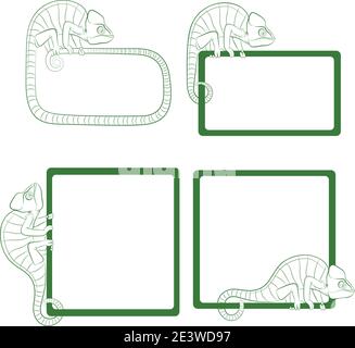 Set of illustrations with green chameleon. Isolated vector objects on a white background. Stock Vector