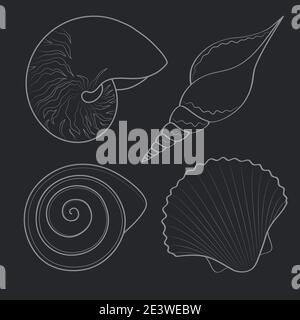Set of black and white graphic sea shells. Isolated objects on a white. Vector illustration. Stock Vector