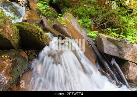 A small forest waterfall, among huge stones and herbs, on a long exposure Stock Photo