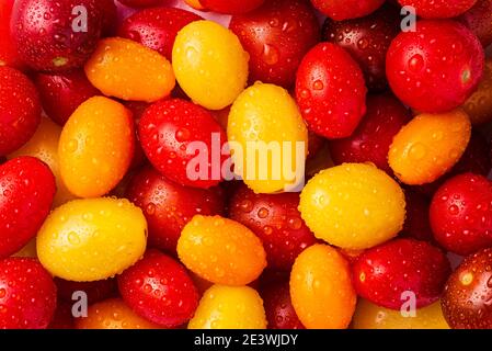 Red, Yellow, Orange Cherry Tomatoes Close up Stock Photo
