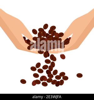 Coffee beans . In the hands of Arabica seeds. Flat vector illustration. Stock Vector