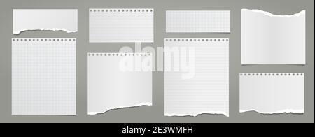 Math Paper Ripped Torn of white lined, math note, notebook paper strips, pieces stuck ...