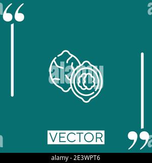 walnut vector icon Linear icon. Editable stroke line Stock Vector