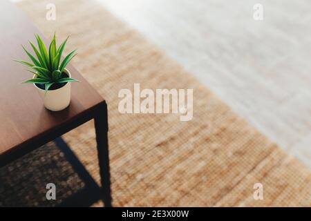 Cactus on the coffee table in interior. Terracotta carpet. Blurred background Stock Photo